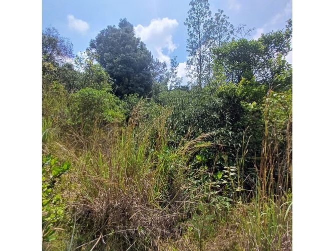 Lote en venta en La Carolina, Sopó, 1505 m² · foto 15 de 16