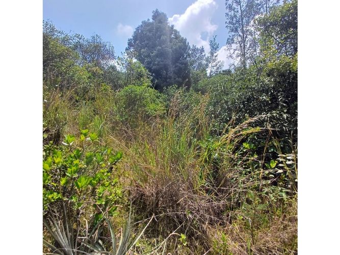 Lote en venta en La Carolina, Sopó, 1505 m² · foto 16 de 16