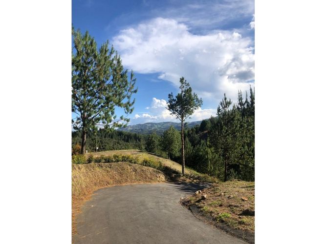 Lote en venta en La China, Bello, 2300 m² · foto 8 de 13
