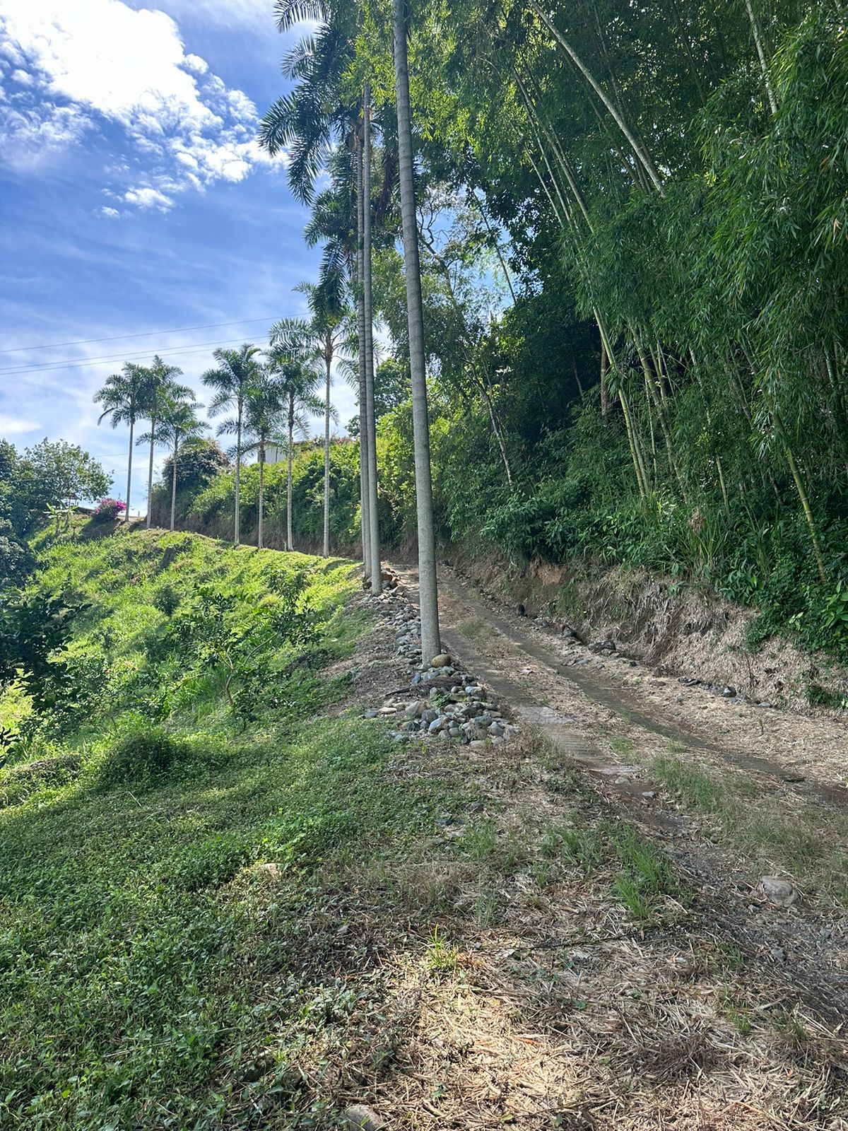 Casa en venta en Kilometro 41, Manizales · foto 15 de 24