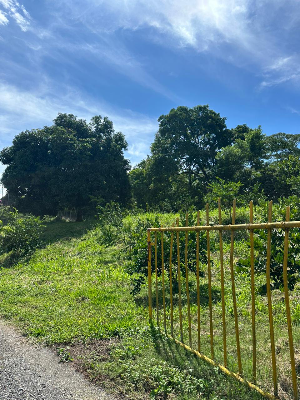 Casa en venta en Kilometro 41, Manizales · foto 16 de 24