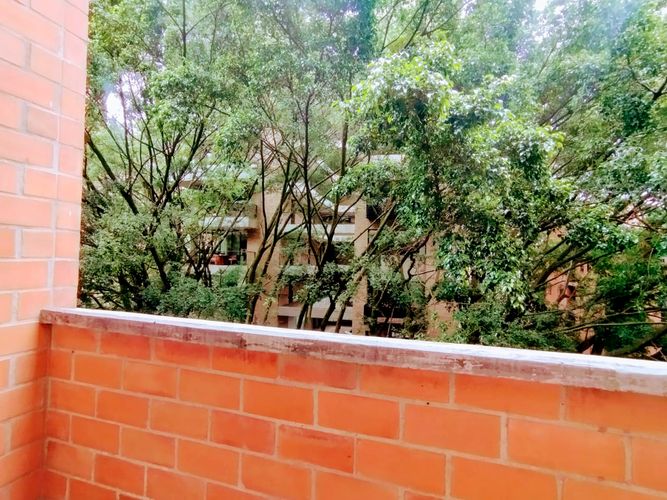 Apartamento de 1 alcoba en arriendo en El Poblado, Medellín, 65 m² · foto 13 de 14