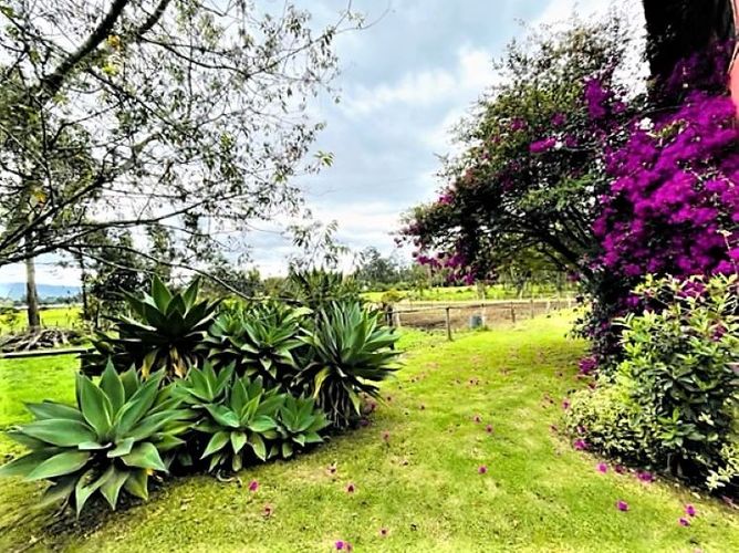Casa de 3 alcobas en venta en Canelon Centro, Chía, 218 m² · foto 11 de 13