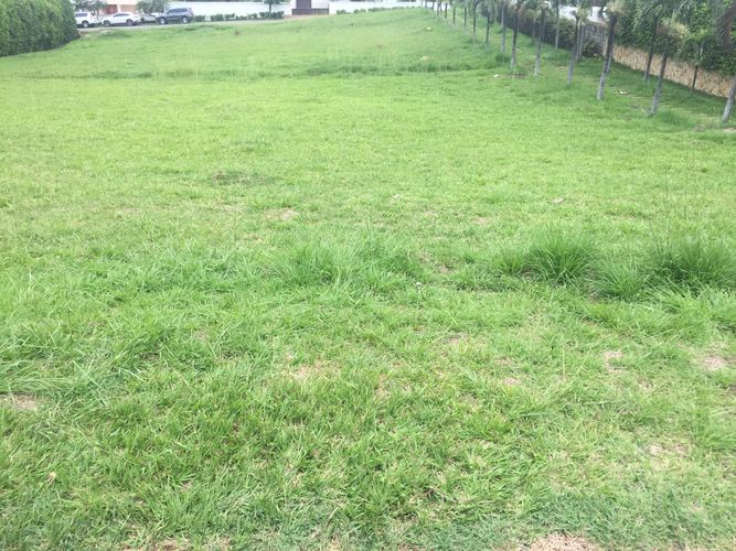 Lote en venta en La Riverita, Cali, 10 m² · foto 4 de 11