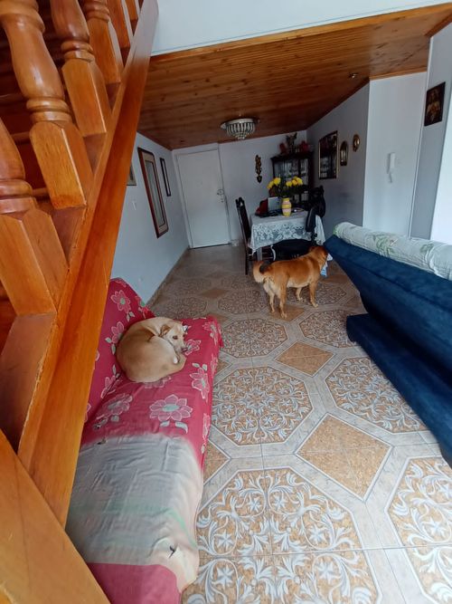 Apartamento en venta en Ciudad Berna, Bogotá · foto 4 de 8