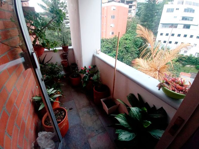 Apartamento de 3 alcobas en arriendo en El Poblado, Medellín, 120 m² · foto 13 de 13