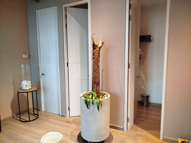Oficina en arriendo en El Poblado, Medellín, 46 m² · foto 9 de 15