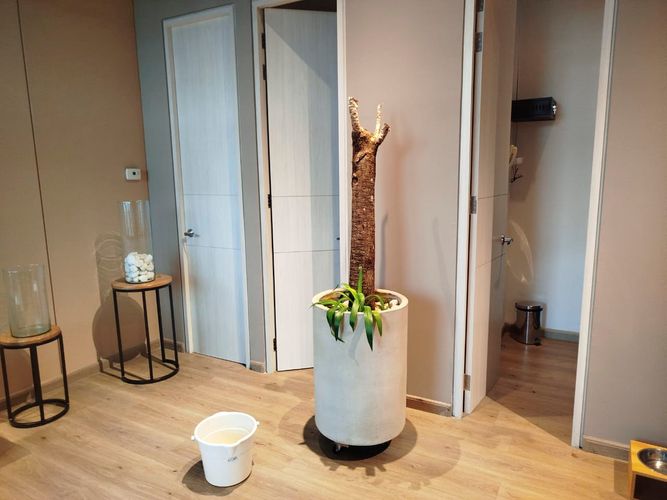 Oficina en arriendo en El Poblado, Medellín, 46 m² · foto 10 de 15