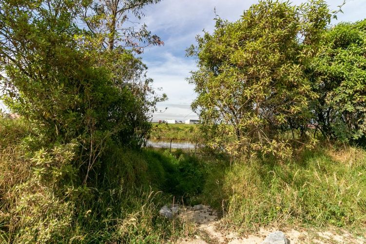 Lote en venta en Siberia, Cota, 25282 m² · foto 23 de 24