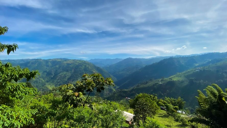 Finca en venta en Cuchilla Del Salado, Manizales, 300 m² · foto 8 de 22