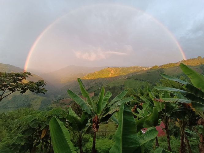 Finca en venta en Cuchilla Del Salado, Manizales, 300 m² · foto 11 de 22