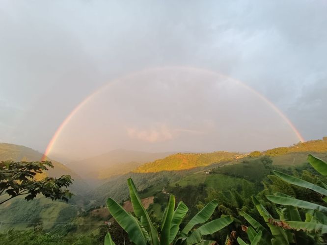 Finca en venta en Cuchilla Del Salado, Manizales, 300 m² · foto 21 de 22