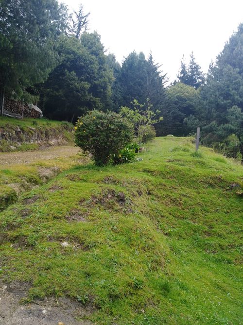 Finca en venta en Vereda El Salitre, La Calera, 8750 m² · foto 4 de 16