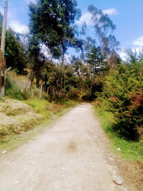 Finca en venta en Vereda El Salitre, La Calera, 8750 m² · foto 7 de 16