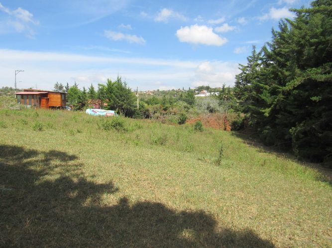 Finca en arriendo en El Tabacal, Piedecuesta, 2200 m² · foto 7 de 16