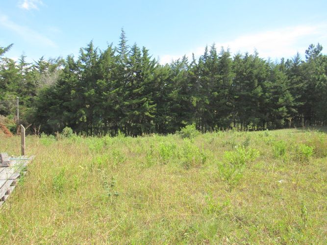 Finca en arriendo en El Tabacal, Piedecuesta, 2200 m² · foto 11 de 16