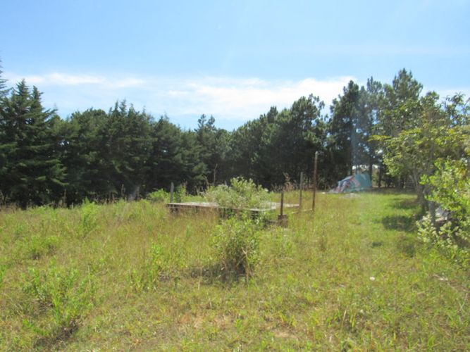 Finca en arriendo en El Tabacal, Piedecuesta, 2200 m² · foto 12 de 16