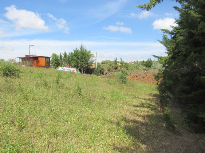 Finca en arriendo en El Tabacal, Piedecuesta, 2200 m² · foto 13 de 16