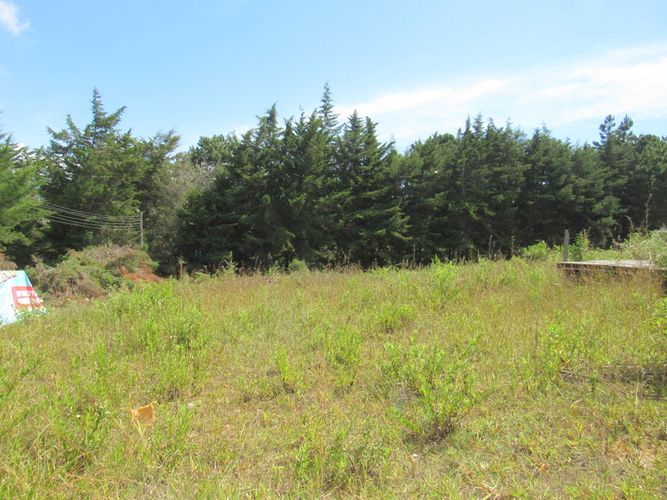 Finca en arriendo en El Tabacal, Piedecuesta, 2200 m² · foto 14 de 16