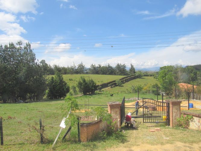 Finca en arriendo en El Tabacal, Piedecuesta, 2200 m² · foto 15 de 16