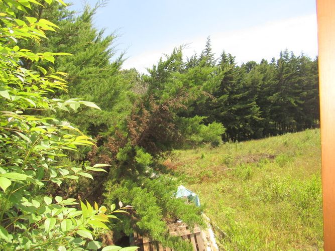 Finca en arriendo en El Tabacal, Piedecuesta, 2200 m² · foto 16 de 16