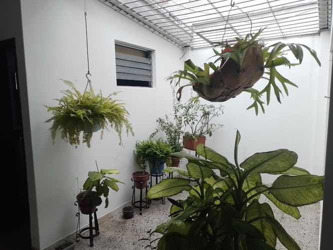 Oficina en arriendo en El Velodromo, Medellín, 225 m² · foto 18 de 18