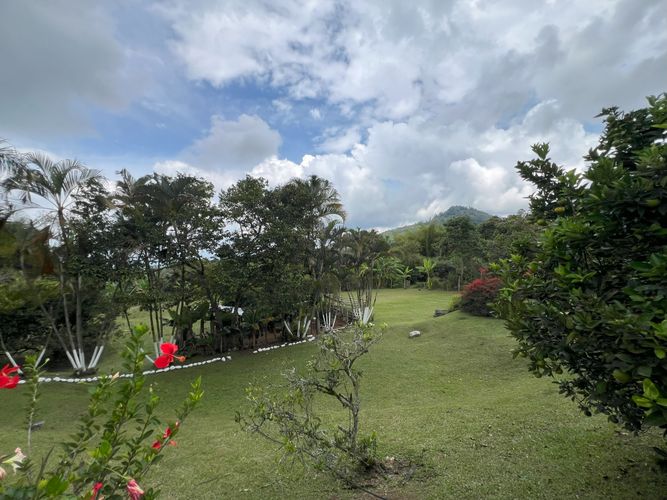 Finca en venta en Potrerillo, Palmira, 6000 m² · foto 3 de 17