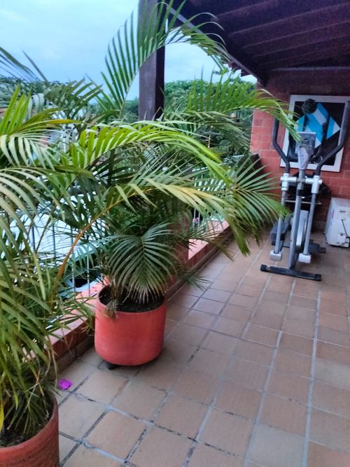 Casa de 4 alcobas en venta en Cañasgordas, Cali, 227 m² · foto 19 de 24