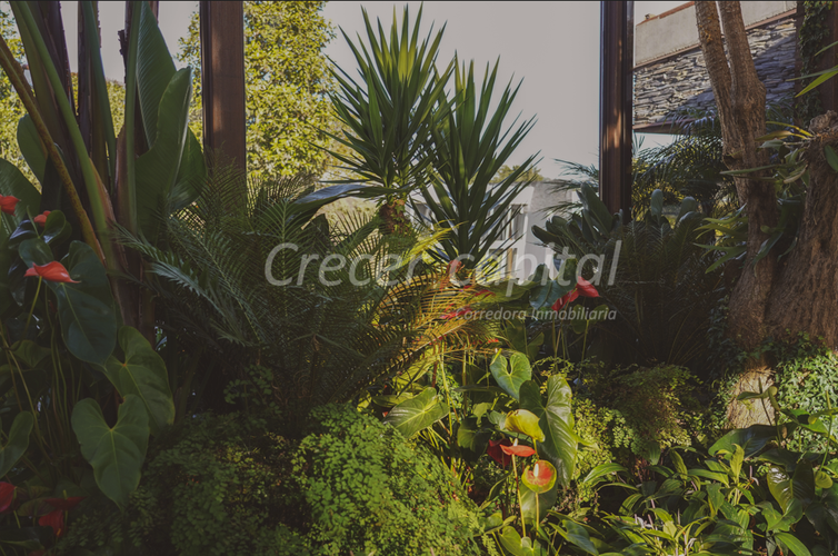 Casa de 3 alcobas en venta en Las Palmas, Envigado, 450 m² · foto 4 de 15
