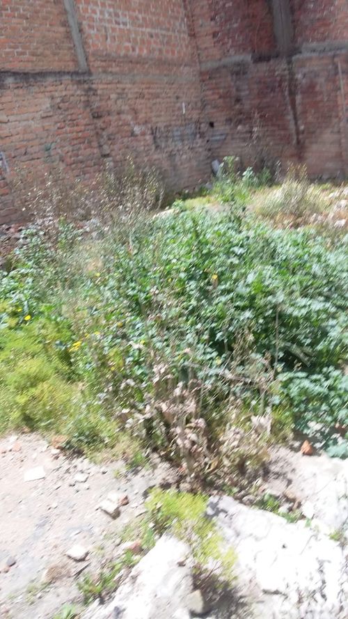 Lote en venta en Venecia, Pasto, 226 m² · foto 3 de 3