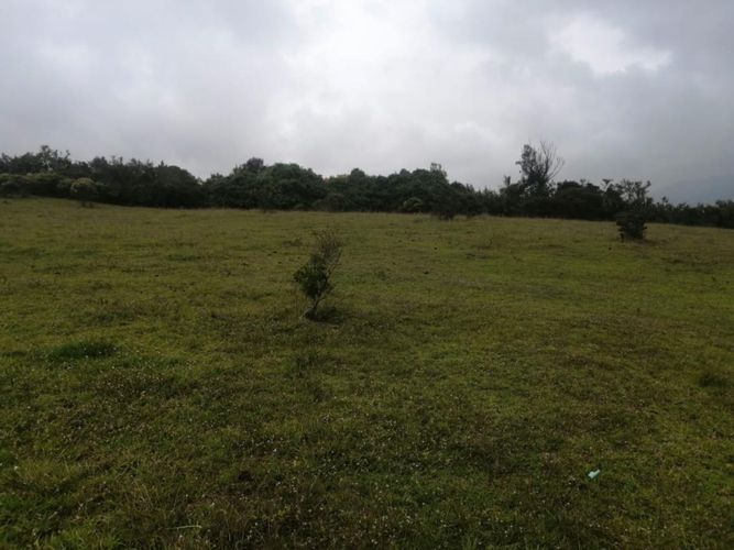 Lote en venta en Yerbabuena, Chía, 10000 m² · foto 2 de 3