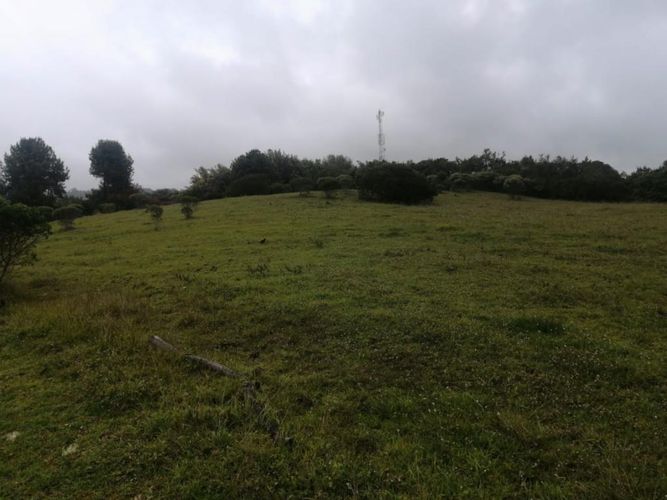 Lote en venta en Yerbabuena, Chía, 10000 m² · foto 3 de 3