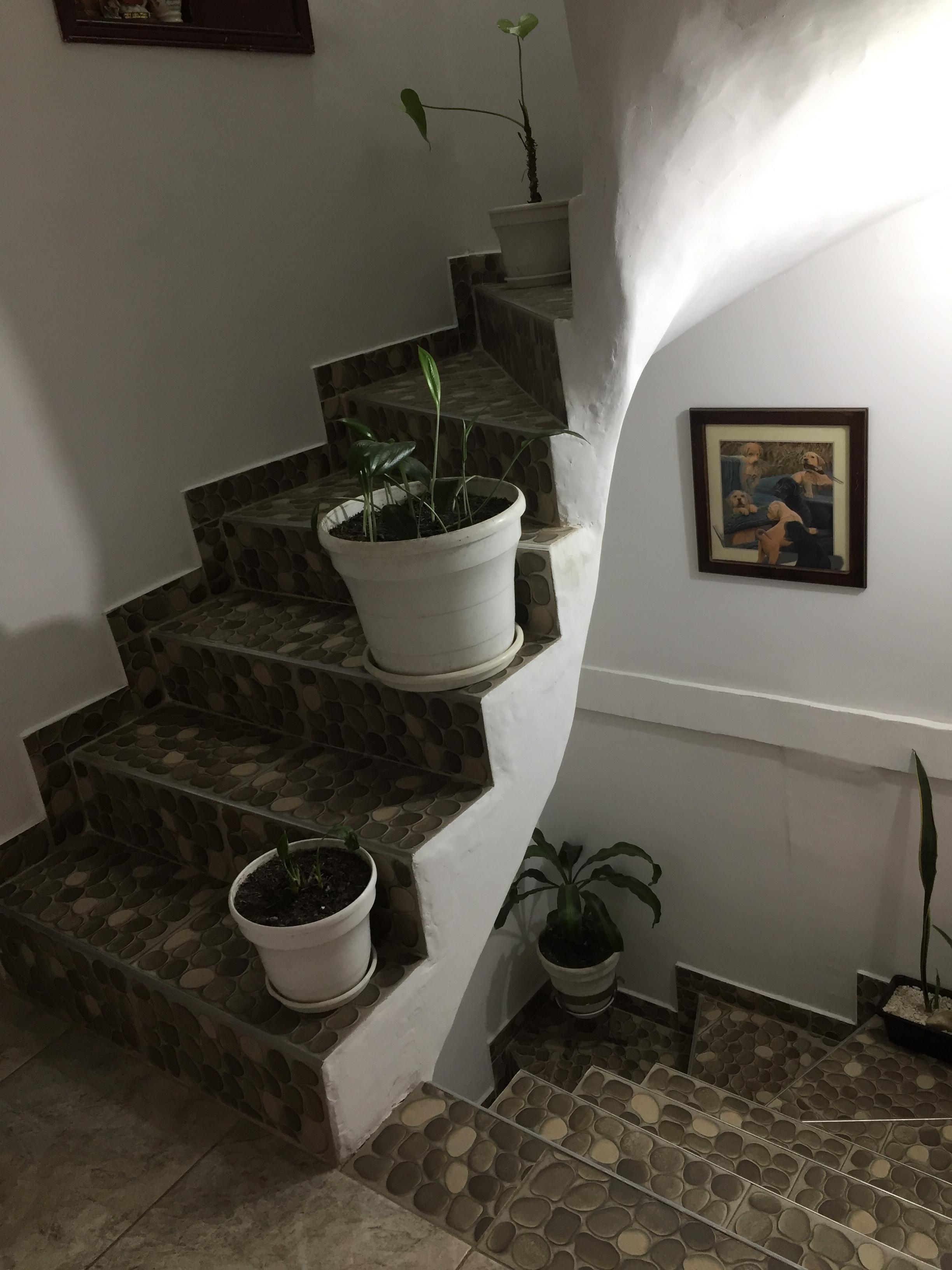 Casa en venta en Bosa Porvenir, Bogotá · foto 24 de 24