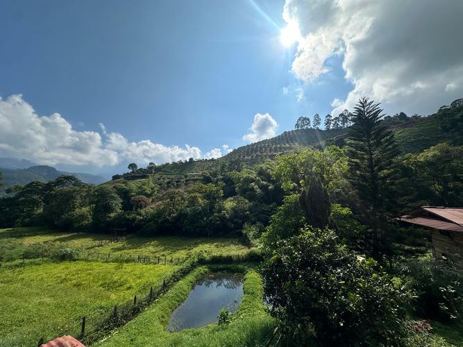 Finca en venta en La Florida, Pereira, 51200 m² · foto 9 de 23