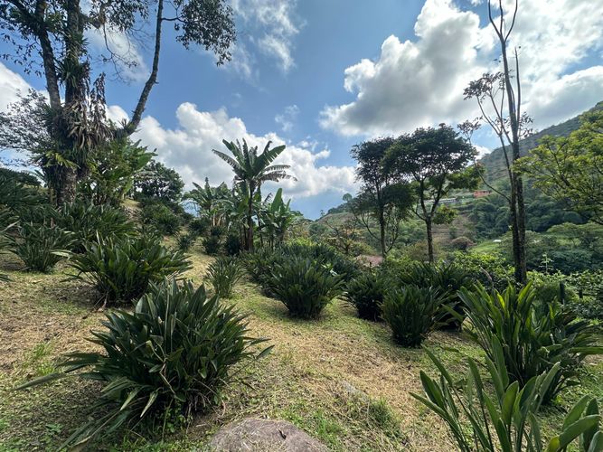 Finca en venta en La Florida, Pereira, 51200 m² · foto 12 de 23
