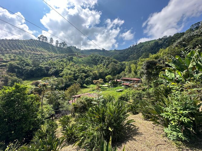 Finca en venta en La Florida, Pereira, 51200 m² · foto 16 de 23