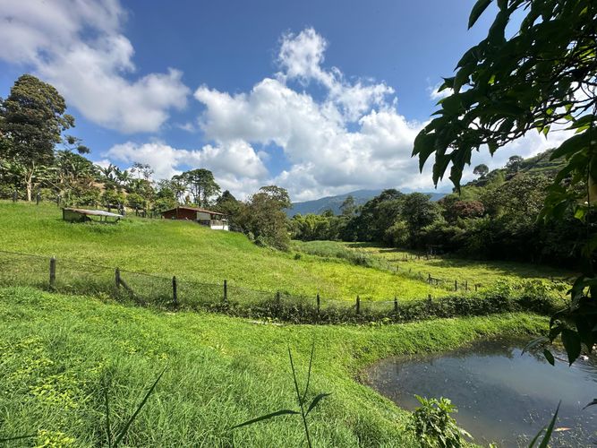 Finca en venta en La Florida, Pereira, 51200 m² · foto 18 de 23