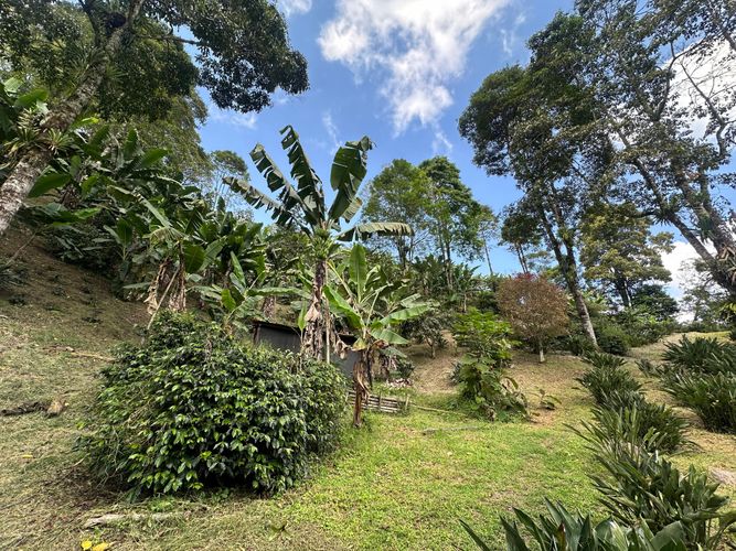 Finca en venta en La Florida, Pereira, 51200 m² · foto 22 de 23