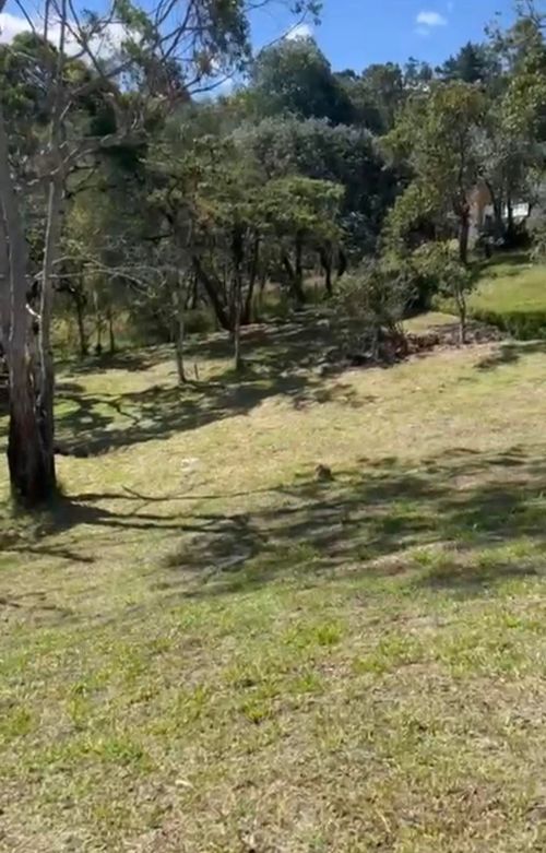 Lote en venta en El Retiro, 2228 m² · foto 3 de 6