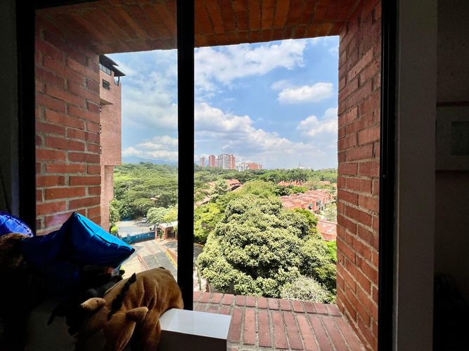 Apartamento de 3 alcobas en venta en Ciudad Jardin, Cali, 171 m² · foto 19 de 24