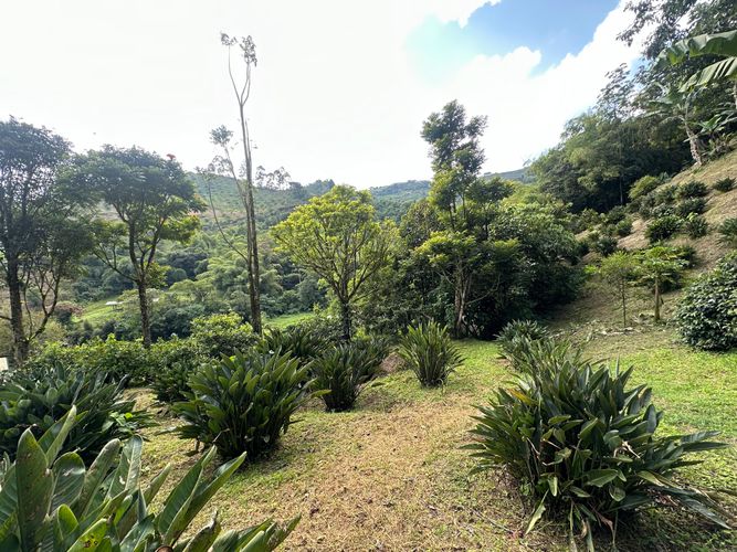 Lote en venta en La Florida, Pereira, 44800 m² · foto 2 de 8