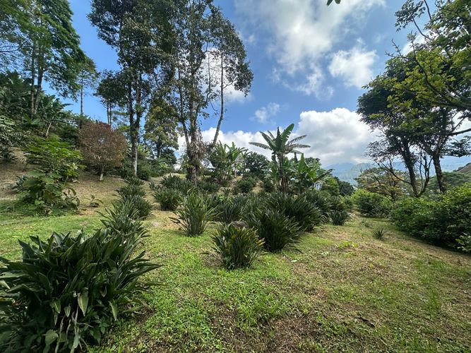 Lote en venta en La Florida, Pereira, 44800 m² · foto 7 de 8