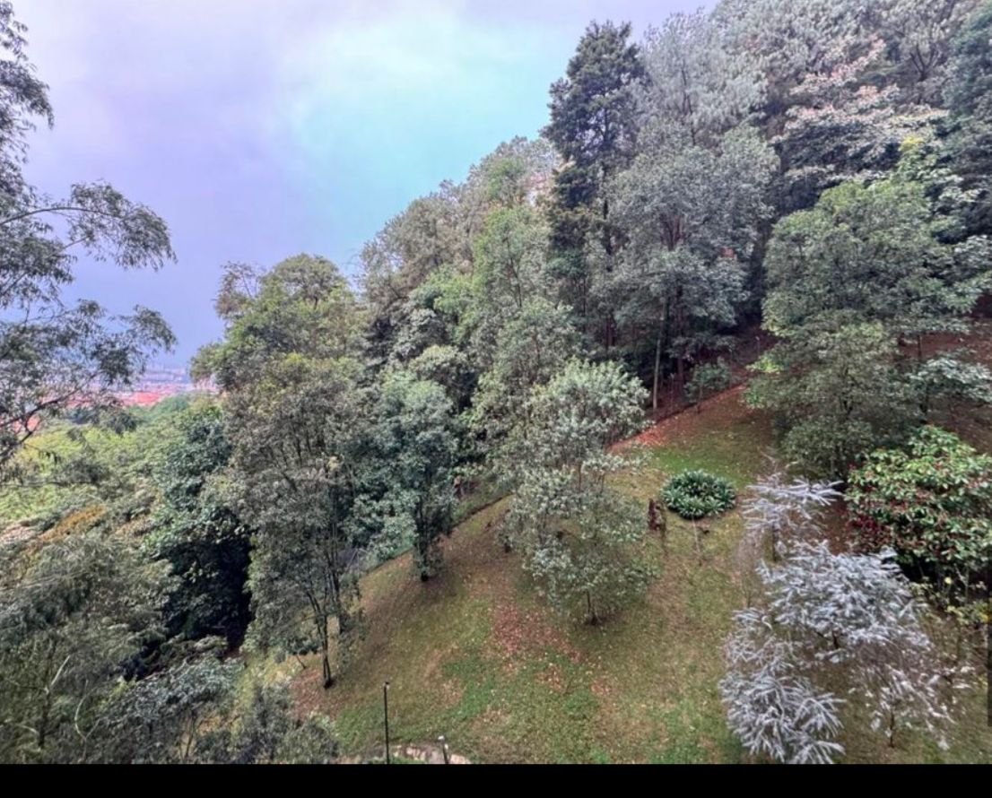Apartamento en venta en Camino Verde, Envigado · foto 7 de 24