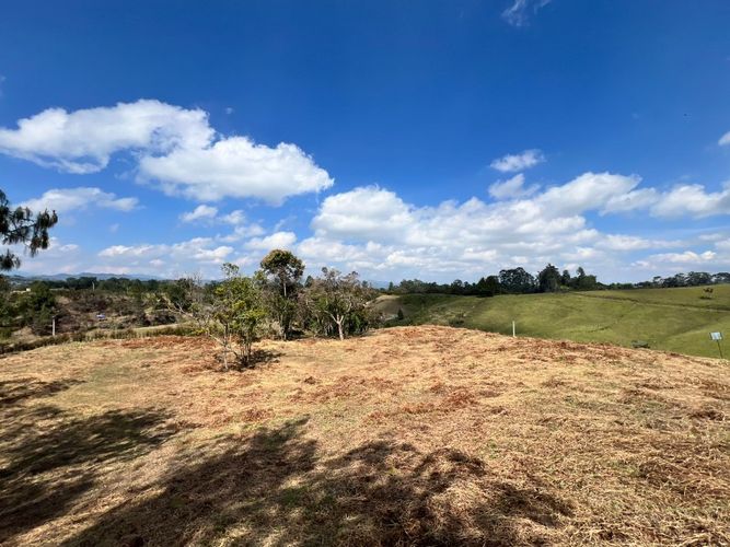 Lote en venta en El Carmen de Viboral, 2993 m² · foto 2 de 18