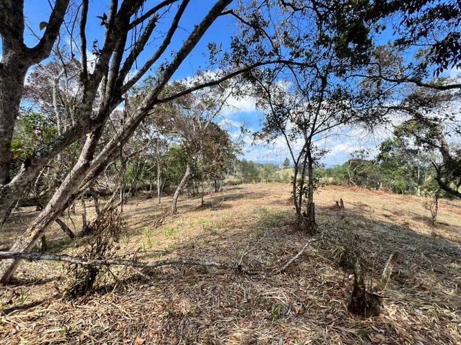 Lote en venta en El Carmen de Viboral, 2993 m² · foto 3 de 18