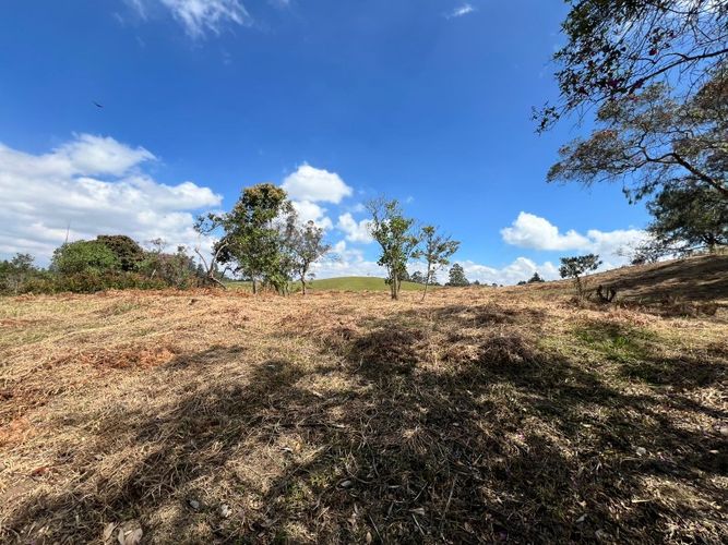 Lote en venta en El Carmen de Viboral, 2993 m² · foto 4 de 18