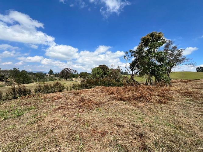Lote en venta en El Carmen de Viboral, 2993 m² · foto 5 de 18