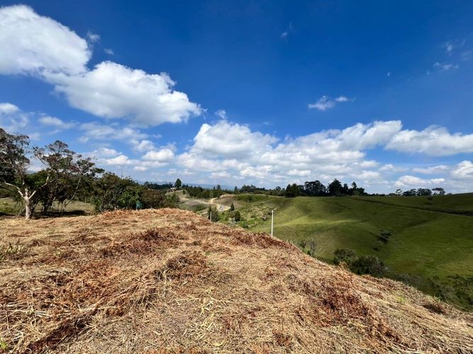 Lote en venta en El Carmen de Viboral, 2993 m² · foto 6 de 18