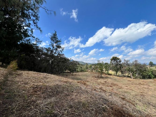 Lote en venta en El Carmen de Viboral, 2993 m² · foto 7 de 18