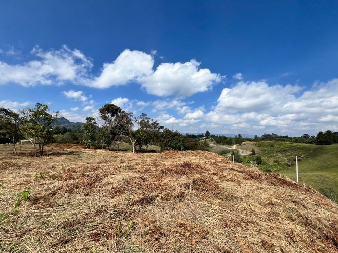 Lote en venta en El Carmen de Viboral, 2993 m² · foto 8 de 18